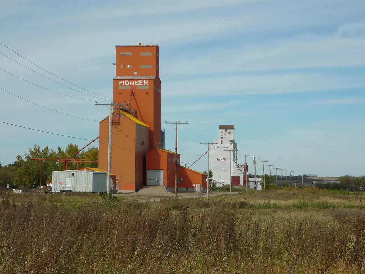 The grain elevators at Wakaw, 2010