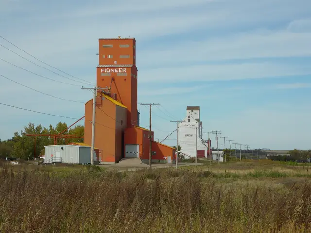 The grain elevators at Wakaw